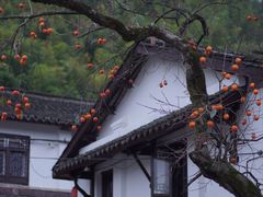 -丹山赤水风景名胜区