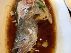 -碧丽宫大酒店(召稼楼店)