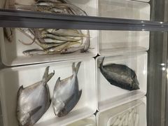 -苏启渔港(云南北路店)