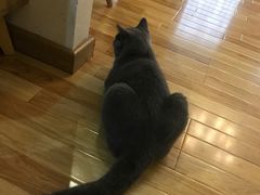 -壹人壹像工作室(购物公园店)