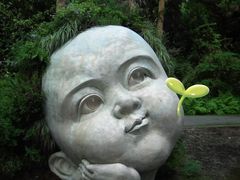 -东平国家森林公园