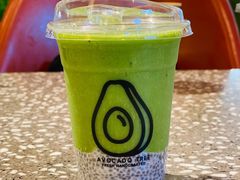 青油梨果-油梨树AVOCADO TREE(嘉里中心店)