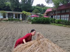 -洪湖家庭农场·团建·露营·会议