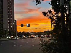 -野妹经典火锅(民治店)