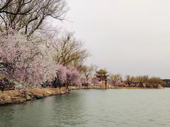 -颐和园