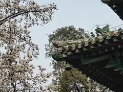 -潭柘寺景区