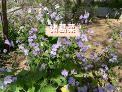 -大连植物园