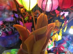 -会安古镇
