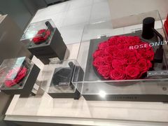 -ROSEONLY诺誓(国际广场购物中心店)
