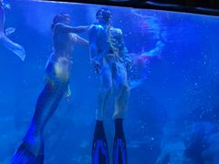 -左海海底世界