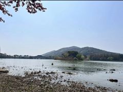 -长广溪湿地公园