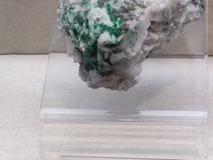 -浙江自然博物院(杭州馆)