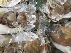 -东戴河风景区-止锚湾