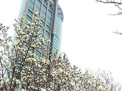 -上海来福士广场