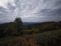 -东莞市大岭山森林公园