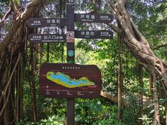 -华侨城湿地公园