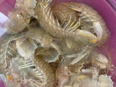 -大连熟食品交易中心