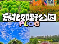 -嘉北郊野公园