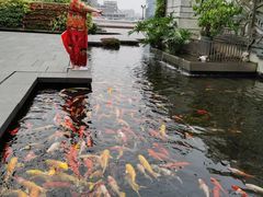 -白天鹅宾馆-健身中心