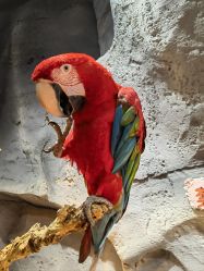 -Zoolung Zoolung动物主题公园(海信广场店)