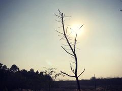 -堤角公园