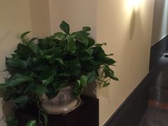 -天目湖御水温泉·度假酒店