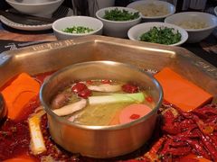 -蜀九香火锅(李家沱店)