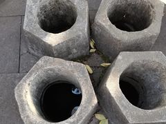 -杭州少年儿童公园