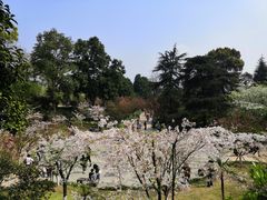 -南山植物园