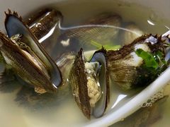 野生淡菜-朝春酒楼