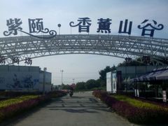 -紫颐香薰山谷景区