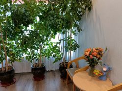 体验前-德媛医疗美容