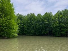 -上海海湾国家森林公园