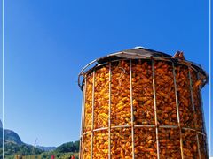 -云岫谷游猎自然风景区