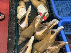 -吴记富苑(朝阳店)