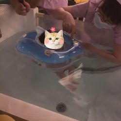 -百悦健康月子中心(祈悦店)
