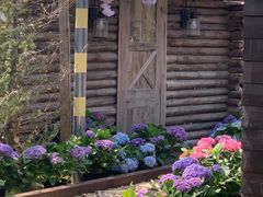 -HERRE·FARM 赫尔露营农场·团建聚会包场