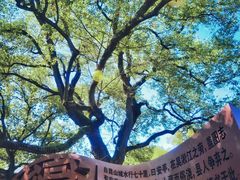 -安亭老街