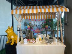 -百好乐宠物友好餐厅(朝外大街店)