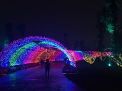 -秀丽东方