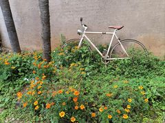 -田德能咖啡博物馆