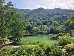 -黄公望隐居地
