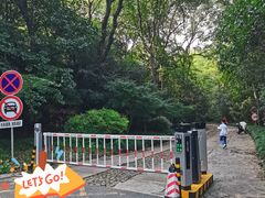 -紫金山山顶公园