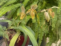 -国家植物园南园