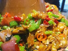 -蛙麻蛙辣炭火蛙锅(南环大街店)