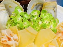 -喜聚薈·花膠雞海鮮火鍋(越秀店)