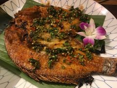 -紫滇源云南生态菜(丹凤街店)