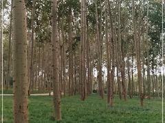 -仁和公园(顺义区)