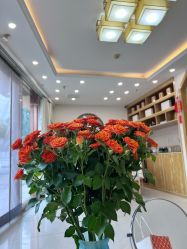 -慈蕊美容养生·专业经络调理