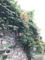 -城南旧影 旗袍全家福摄影写真体验馆
